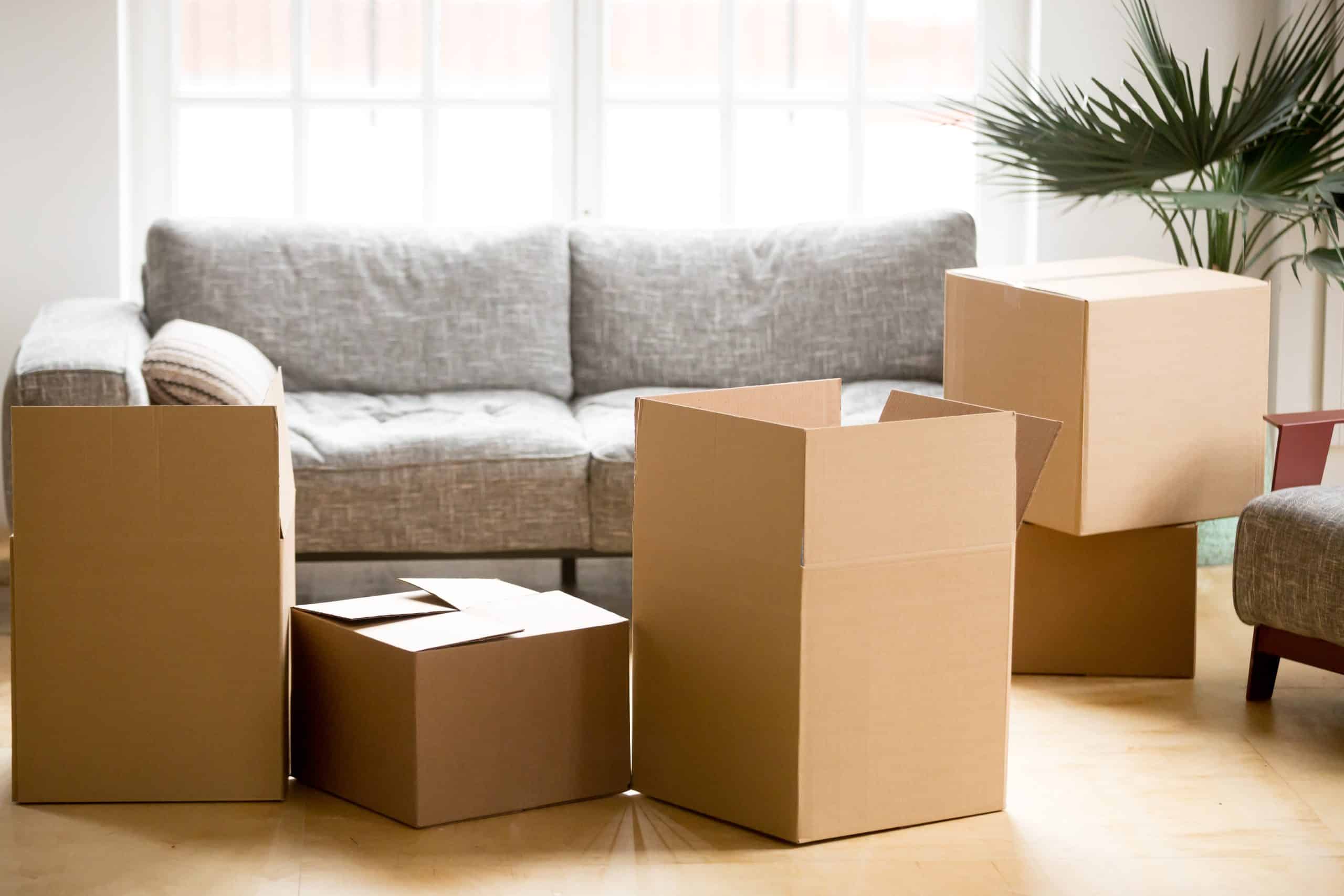 Four cardboard boxes, three closed and one open, are arranged on the wooden floor in front of a grey couch. Sunlight streams in through large windows behind the couch, highlighting a green potted plant on the right side. It looks like Residential Moving is underway in this cozy space.
