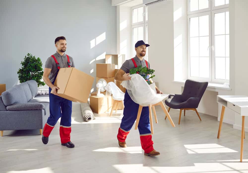 Two movers in uniform carrying items into a brightly lit room. One is holding a cardboard box while the other carries a plant and a bag. The room, prepared for residential moving, has unpacked furniture and boxes, with large windows letting in plenty of natural light.