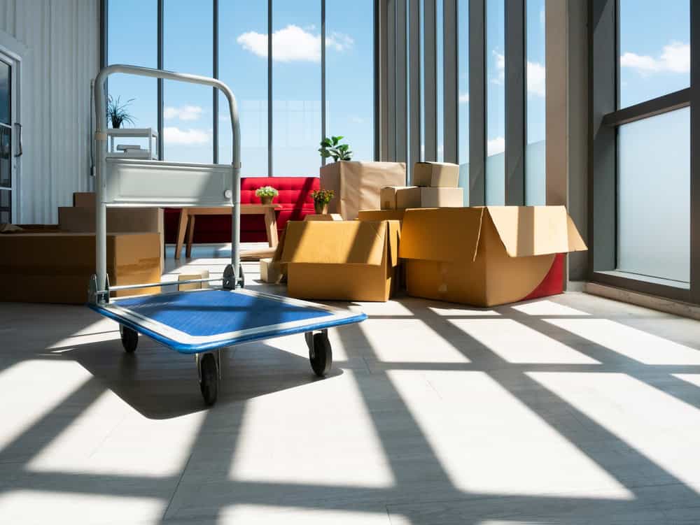 A well-lit room filled with moving boxes and a blue, wheeled dolly cart evokes the essence of a bustling furniture moving day. Large windows allow sunlight to stream in, casting shadows on the light-colored floor. In the background, there's a red sofa, small plants, and a few more boxes.