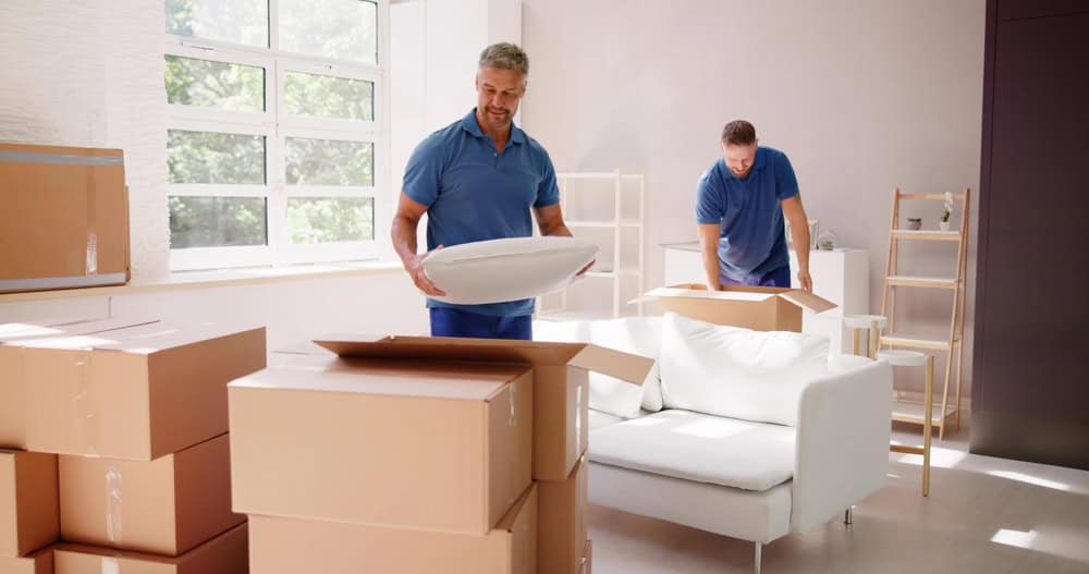 Two men are unpacking boxes in a bright room with large windows. One holds a pillow, standing near a white sofa. More boxes are stacked around them, suggesting a move or setup in progress. The room has light walls and wooden shelves.
