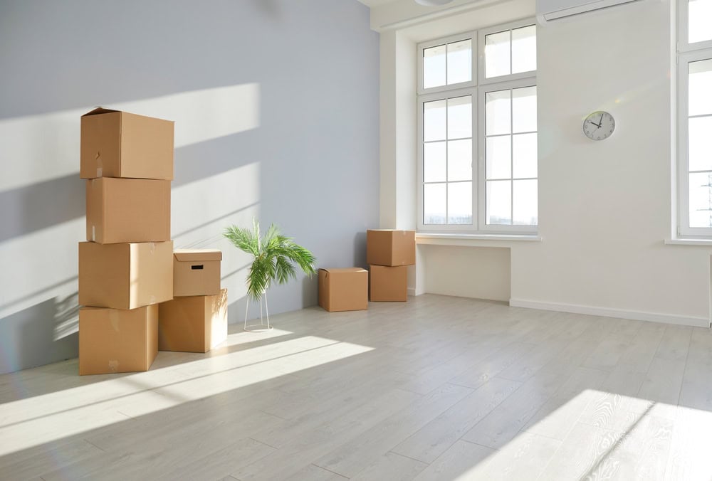 An empty room with light wooden flooring, stacked cardboard boxes, and a small green plant. Large windows allow sunlight to stream in, casting shadows on the floor. A round wall clock is mounted on the light-colored wall.